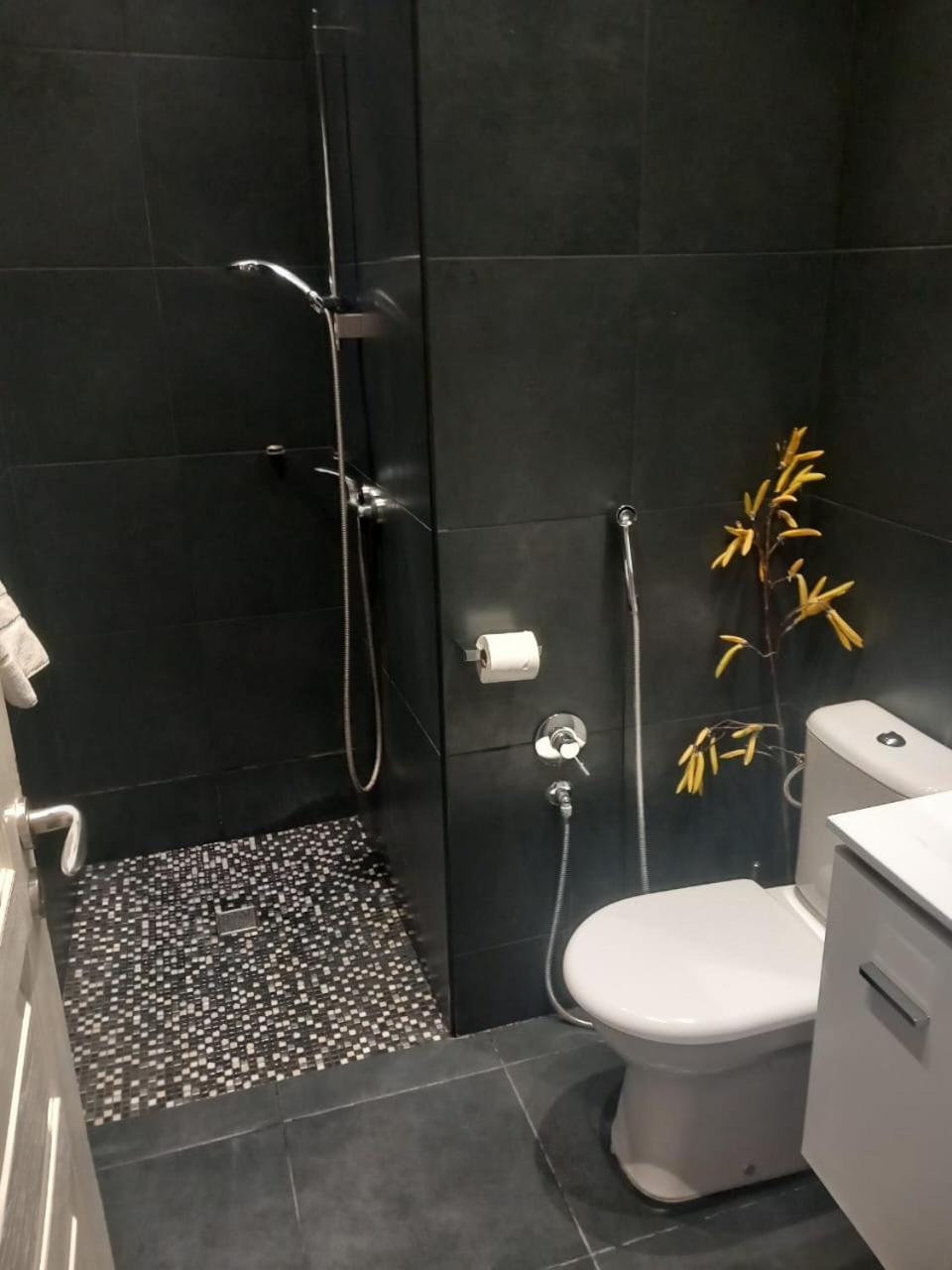 Studio "11"Near Monaco Beausoleil Kültér fotó